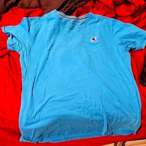 Express v neck size large